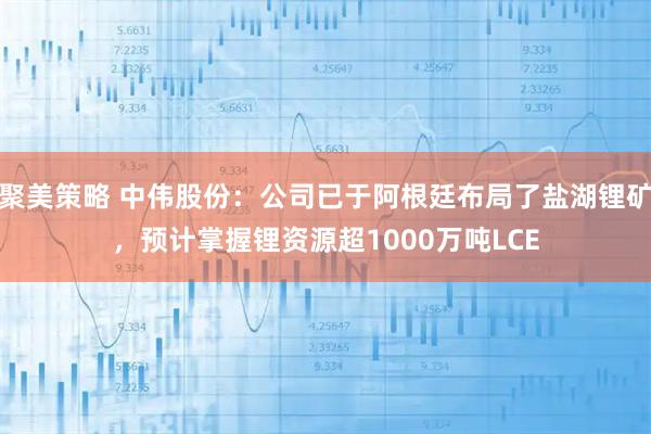 聚美策略 中伟股份：公司已于阿根廷布局了盐湖锂矿，预计掌握锂资源超1000万吨LCE
