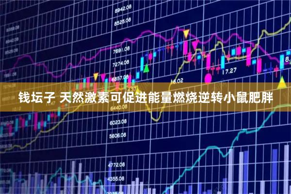 钱坛子 天然激素可促进能量燃烧逆转小鼠肥胖